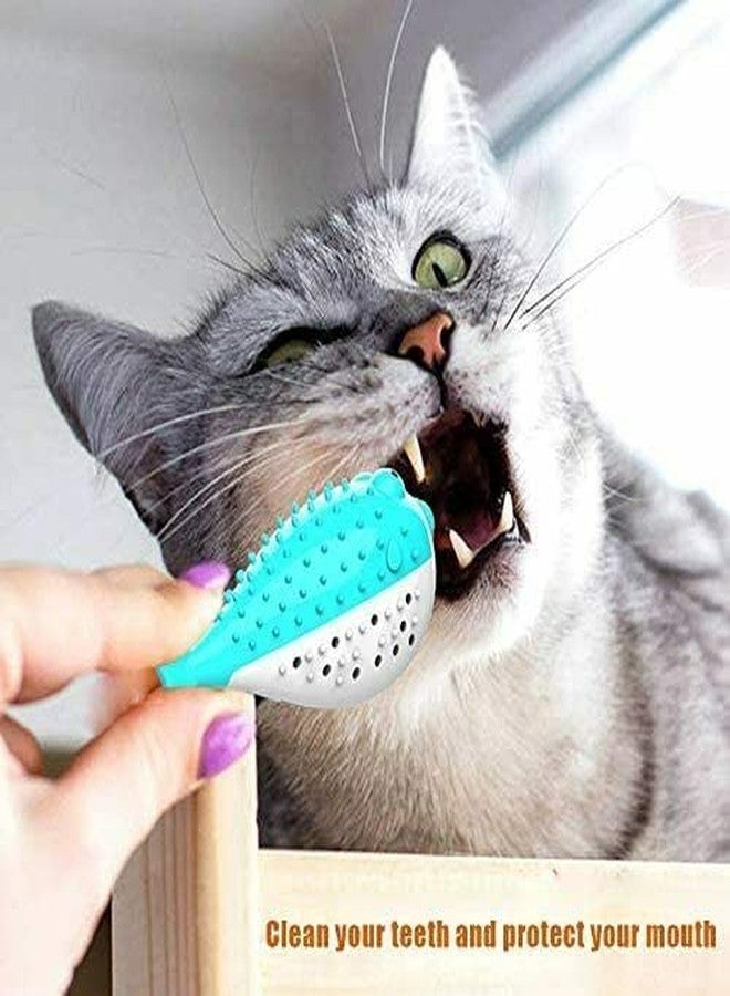 Pups&Pets Pet Cat Kitten TPR Puffer Fish Toothbrush Catnip Molar Soft Bite Chew Play Toy - Color May Vary - Image 4